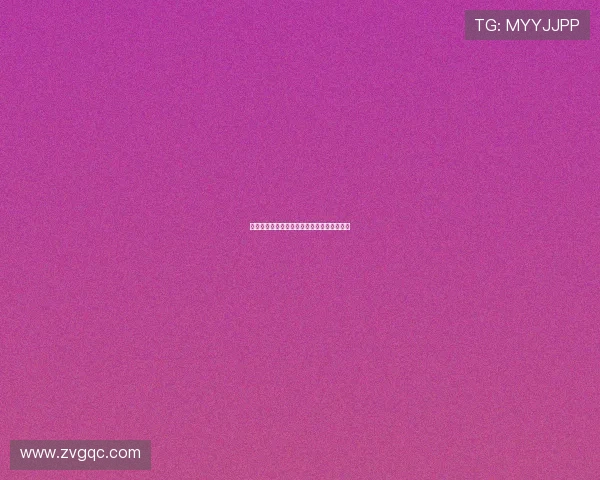 岁月静好，有你相伴——老人与狗的温情絮语